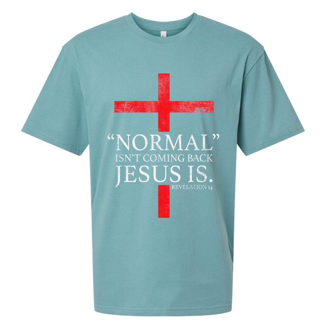 Christian Normal Isnt Coming Back Jesus Is Gift Sueded Cloud Jersey T-Shirt