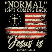 Christian Normal Isn't Coming Back Jesus Is Gift Toddler T-Shirt