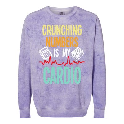 Crunching Numbers Is My Cardio Accountant Auditor Auditing Colorblast Crewneck Sweatshirt