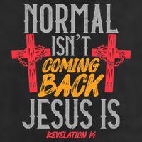 Christian Normal Isn't Coming Back Jesus Is Revelation Adult Drive Performance Visor