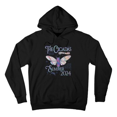 Cicada Nature Lover The Cicadas Reunion Summer 2024 Hoodie