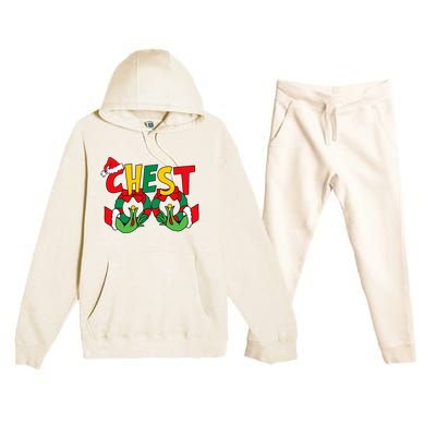 Chest Nuts Matching Chestnuts Funny Christmas Couples Nuts Premium Hooded Sweatsuit Set