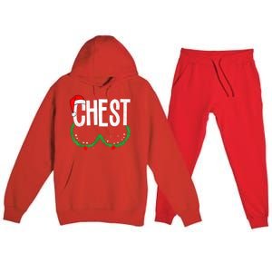 Chest Nuts Matching Chestnuts Funny Christmas Couples Chest Premium Hooded Sweatsuit Set