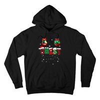 Chest Nuts Matching Chestnuts Funny Christmas Couples Hoodie