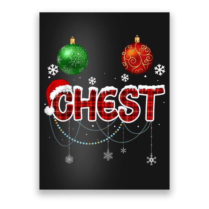 Chest Nuts Matching Chestnuts Funny Poster