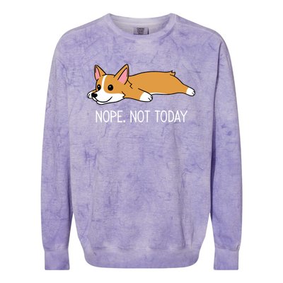 Corgi Nope Not Today Gift Colorblast Crewneck Sweatshirt