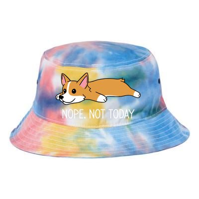 Corgi Nope Not Today Gift Tie Dye Newport Bucket Hat