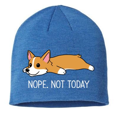 Corgi Nope Not Today Gift Sustainable Beanie