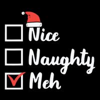 Christmas Nice Naughty Meh Funny Xmas List Toddler Hoodie