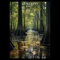 Congaree National Park Impact Tech Backpack