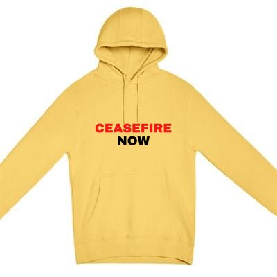 Ceasefire Now Palestine Premium Pullover Hoodie