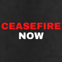 Ceasefire Now Palestine 7 Panel Mesh Trucker Snapback Hat