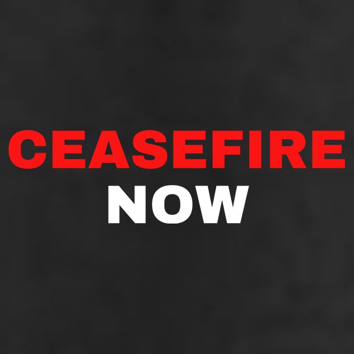 Ceasefire Now Palestine 7 Panel Mesh Trucker Snapback Hat