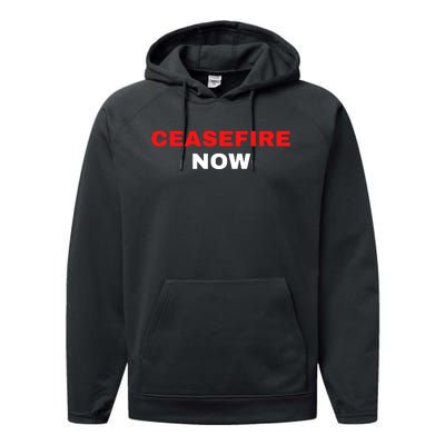 Ceasefire Now Palestine Performance Fleece Hoodie