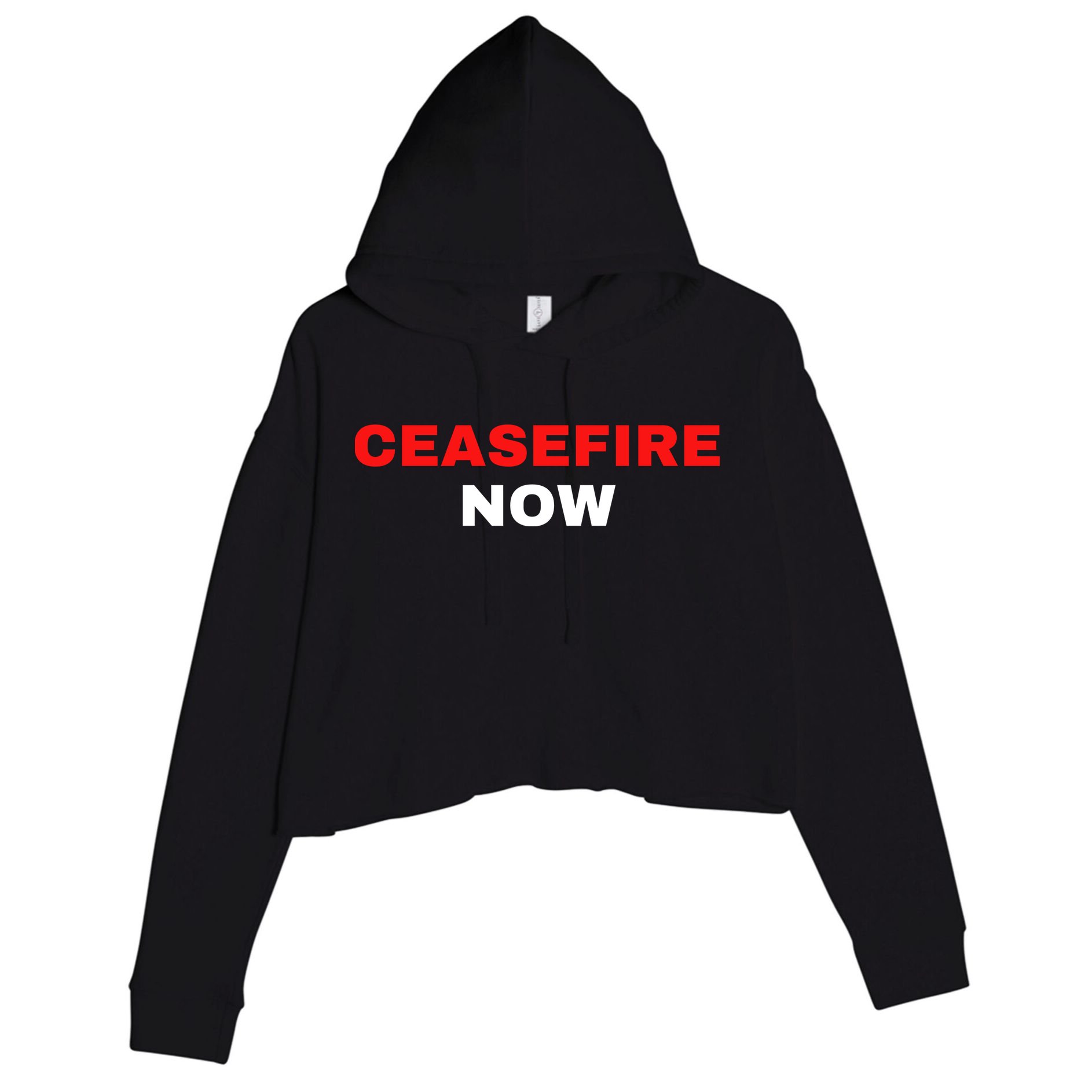 Ceasefire Now Palestine Crop Fleece Hoodie