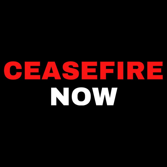 Ceasefire Now Palestine Womens Tank Top
