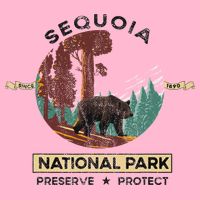 California National Park Sequoia Visor