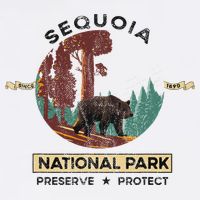 California National Park Sequoia 11oz C Handle Ceramic Mug