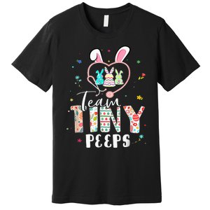 Cute NICU PICU L&D Nurse Easter Day Stethoscope Cute Bunny Premium T-Shirt