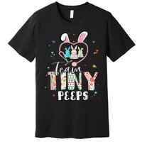 Cute NICU PICU L&D Nurse Easter Day Stethoscope Cute Bunny Premium T-Shirt