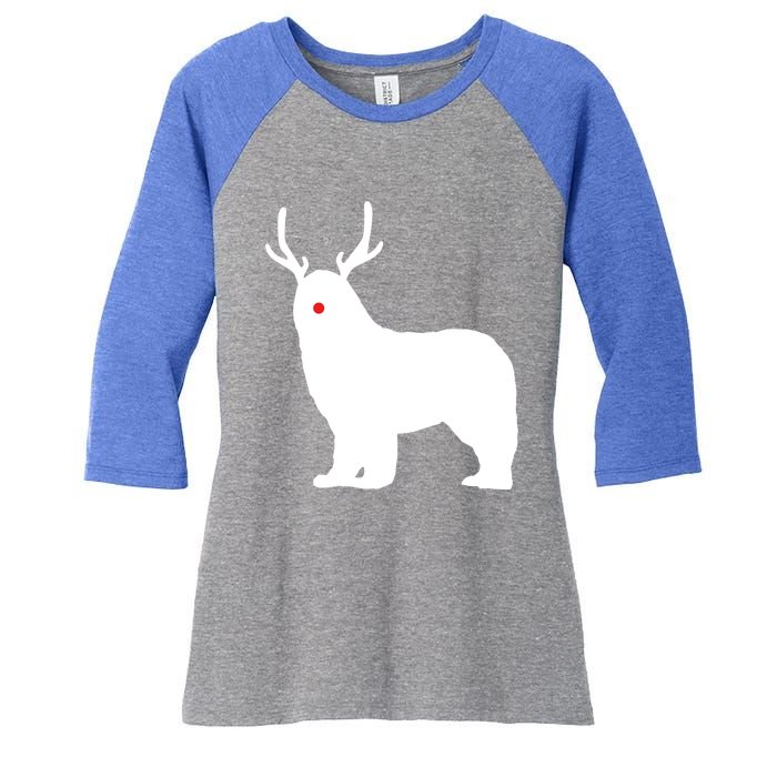 Christmas Newfoundland Reindeer Newfie Dog Gift Women's Tri-Blend 3/4-Sleeve Raglan Shirt