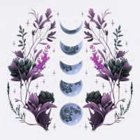 Cosmos Night Stargazers Vintage Celestial Lunar Moon Cycle Long Sleeve Shirt