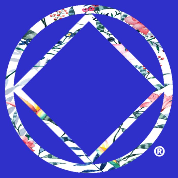 Cool Na Symbol Narcotics Anonymous Na Aa Funny Gift Visor
