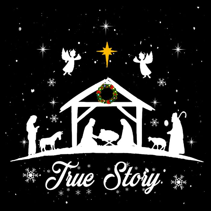 Christmas Nativity True Story Nativity Scene Gifts Toddler T-Shirt