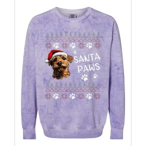 Cute Norfolk Terrier Dog Ugly Christmas Santa Paws Colorblast Crewneck Sweatshirt