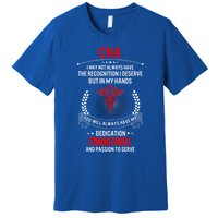 Cna Nurse Week My Hands Have Passion Gift Premium T-Shirt