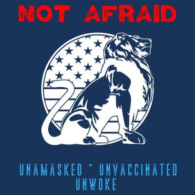 Conservative Not Woke T-Shirt