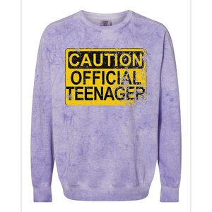 Caution Nager Warning 2011 13th Birthday Gift Colorblast Crewneck Sweatshirt