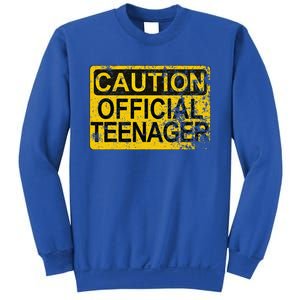 Caution Nager Warning 2011 13th Birthday Gift Sweatshirt