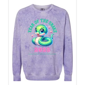 Chinese New Year Of The Snake 2025 Colorblast Crewneck Sweatshirt