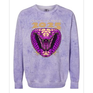 Chinese New Year Of The Snake 2025 Colorblast Crewneck Sweatshirt