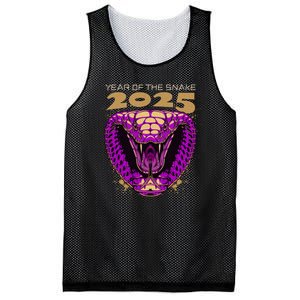 Chinese New Year Of The Snake 2025 Mesh Reversible Basketball Jersey Tank