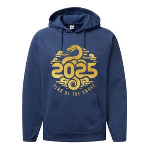 Chinese New Year 2025 Year Of The Snake Performance Fleece Hoodie