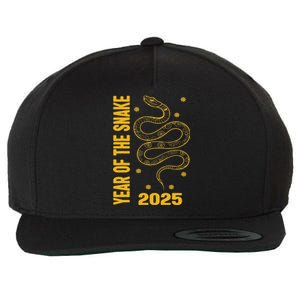 Chinese New Year Clothing Red Snake Year Of The Snake 2025 Wool Snapback Cap