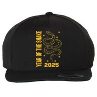 Chinese New Year Clothing Red Snake Year Of The Snake 2025 Wool Snapback Cap