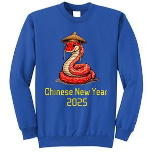 Chinese New Year 2025 Group Family Matching Sweatshirt