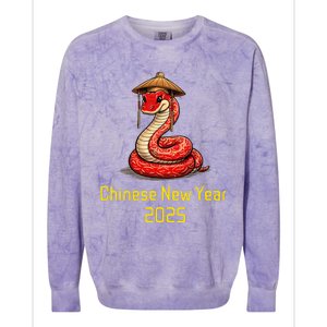 Chinese New Year 2025 Group Family Matching Colorblast Crewneck Sweatshirt