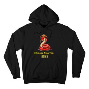 Chinese New Year 2025 Group Family Matching Hoodie