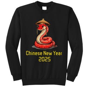 Chinese New Year 2025 Group Family Matching Tall Sweatshirt