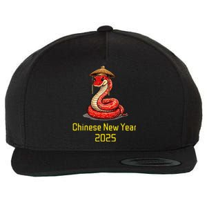 Chinese New Year 2025 Group Family Matching Wool Snapback Cap