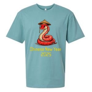 Chinese New Year 2025 Group Family Matching Sueded Cloud Jersey T-Shirt