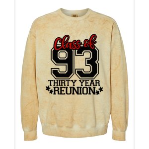 Class of 1993 group reunion30 year 93 school spirit Colorblast Crewneck Sweatshirt