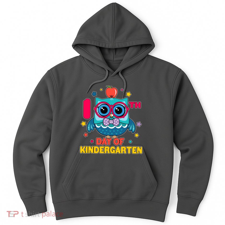 Cute Owl 100th Day Of Kindergarten Hoodie