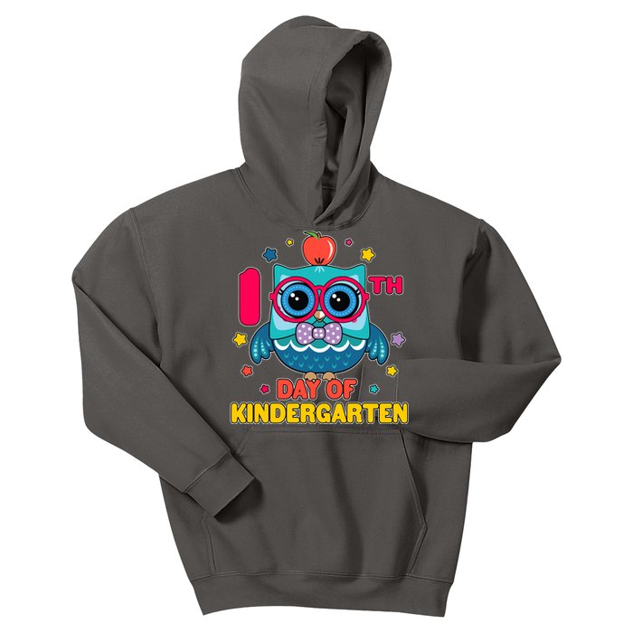 Cute Owl 100th Day Of Kindergarten Kids Hoodie