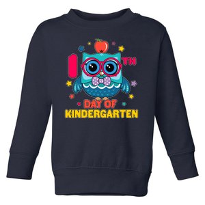 Cute Owl 100th Day Of Kindergarten Toddler Sweatshirt