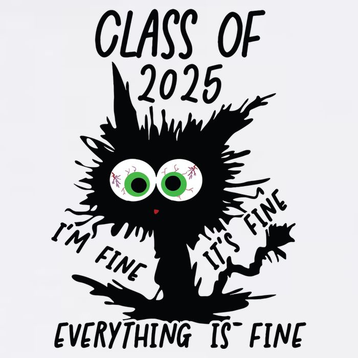Class Of 2025 Cropped Pullover Crew